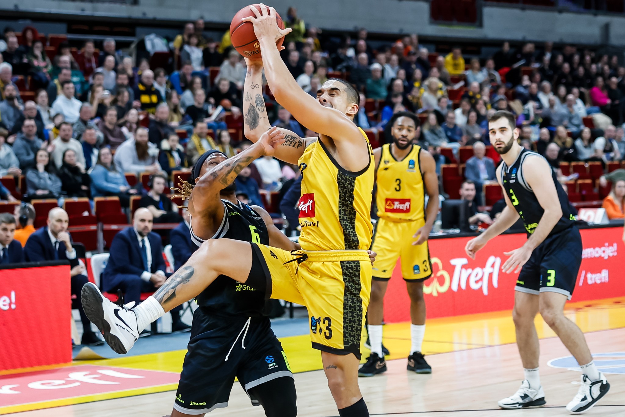 TREFL SOPOT - Read more