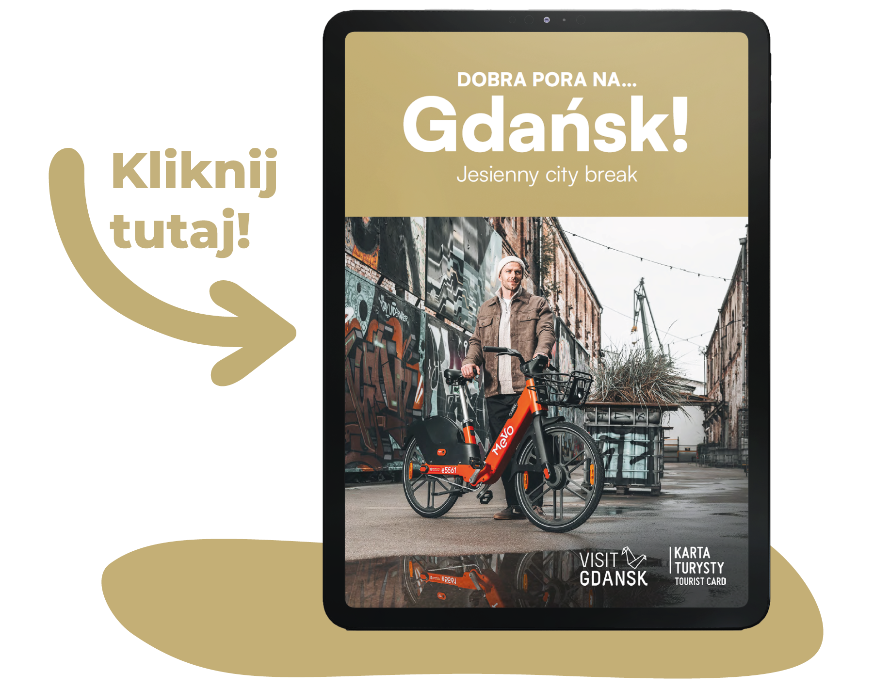 Banner reklamowy